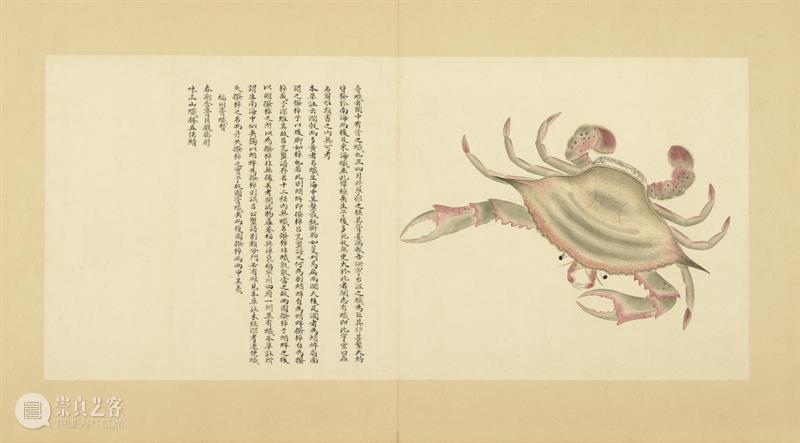 AM 学术讲座|《海错图》与《幸存录》:江南民间学人聂璜的两张面孔 崇真艺客