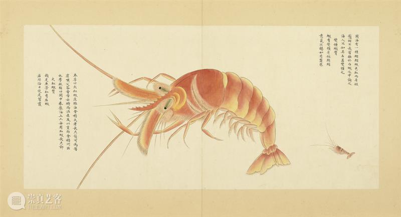 AM 学术讲座|《海错图》与《幸存录》:江南民间学人聂璜的两张面孔 崇真艺客