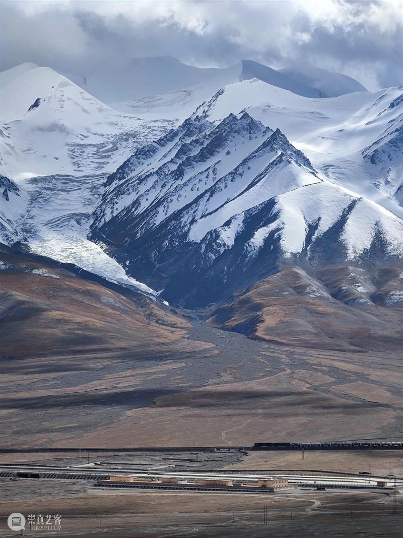 雪豹,最沙雕的猫科动物? 崇真艺客