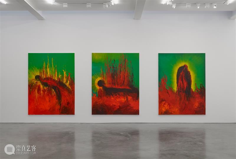 正在展出 | 里森纽约 | 安尼施·卡普尔 (Anish Kapoor) 个展 崇真艺客