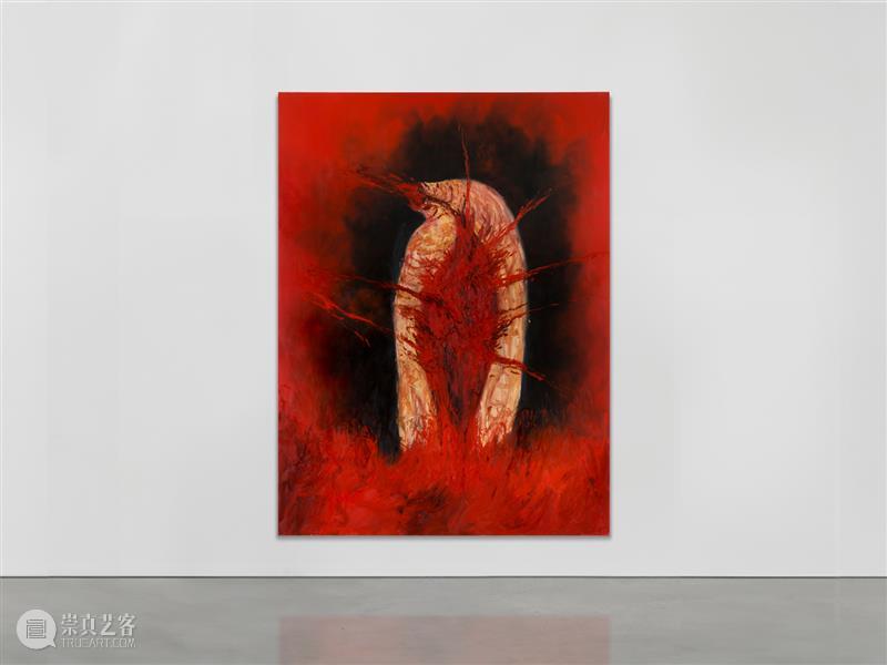 正在展出 | 里森纽约 | 安尼施·卡普尔 (Anish Kapoor) 个展 崇真艺客