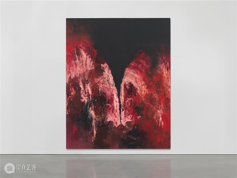 正在展出 | 里森纽约 | 安尼施·卡普尔 (Anish Kapoor) 个展 崇真艺客