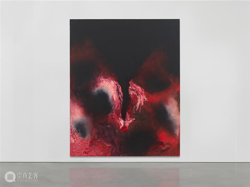 正在展出 | 里森纽约 | 安尼施·卡普尔 (Anish Kapoor) 个展 崇真艺客