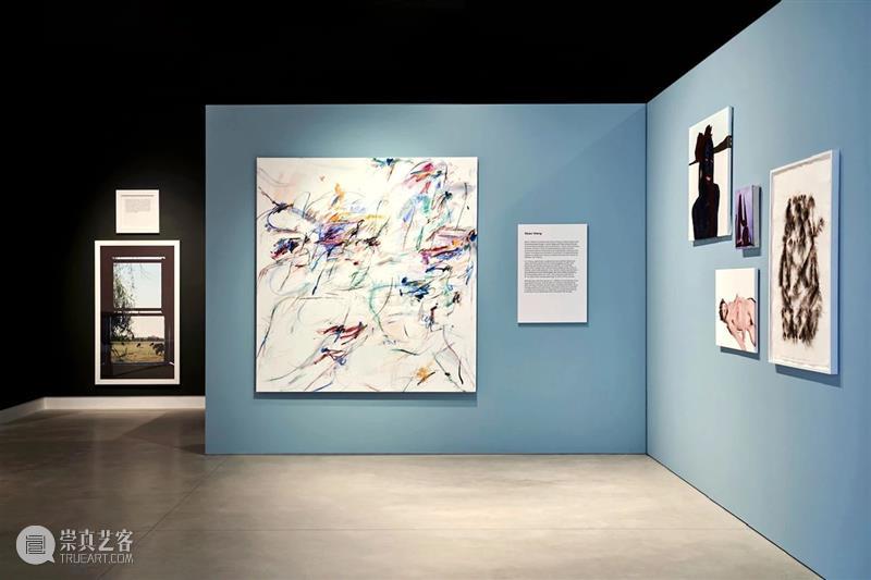 王茜瑶作品正在四家美术馆展出｜年底北京个展即将启幕 崇真艺客