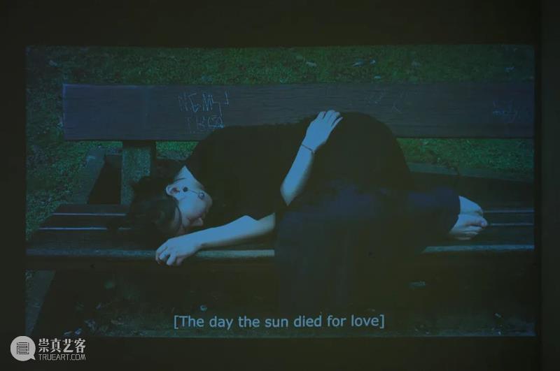 王茜瑶作品正在四家美术馆展出｜年底北京个展即将启幕 崇真艺客