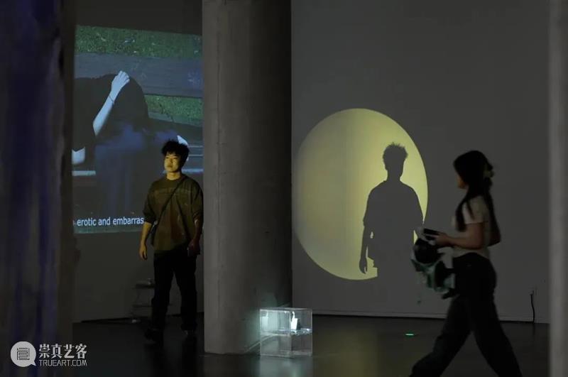 王茜瑶作品正在四家美术馆展出｜年底北京个展即将启幕 崇真艺客