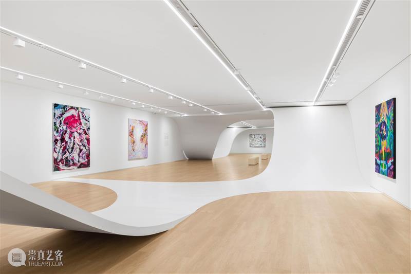 王茜瑶作品正在四家美术馆展出｜年底北京个展即将启幕 崇真艺客