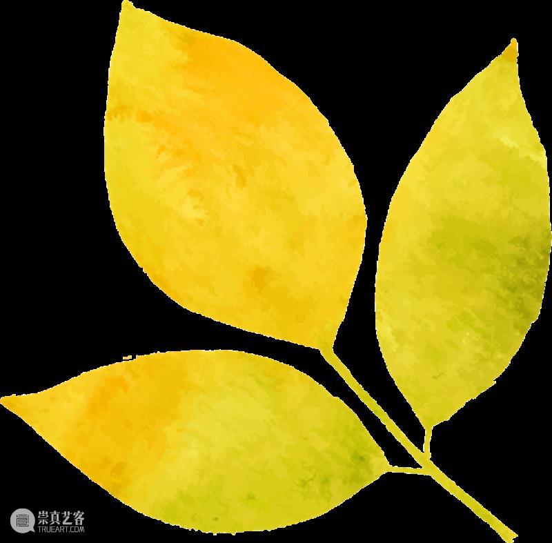 方旭导演《骆驼祥子》幕后探秘 | 冬天的“祥子”很热？ 崇真艺客