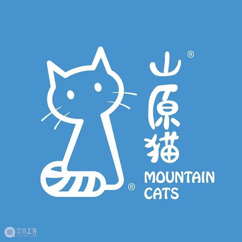 黄浦江边的美术馆建筑冬令营 崇真艺客