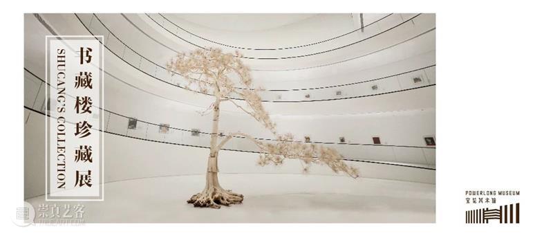 PLM教育 | 2024年寒假班亮点太多！ 崇真艺客