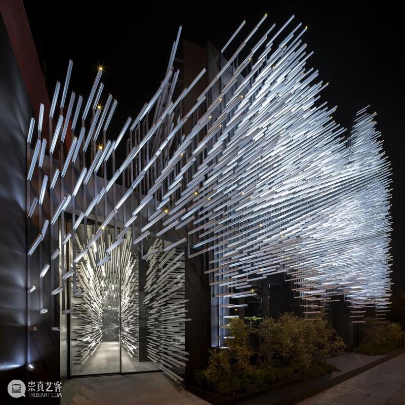 讲座预告丨洪人杰：From Ego to Eco 崇真艺客