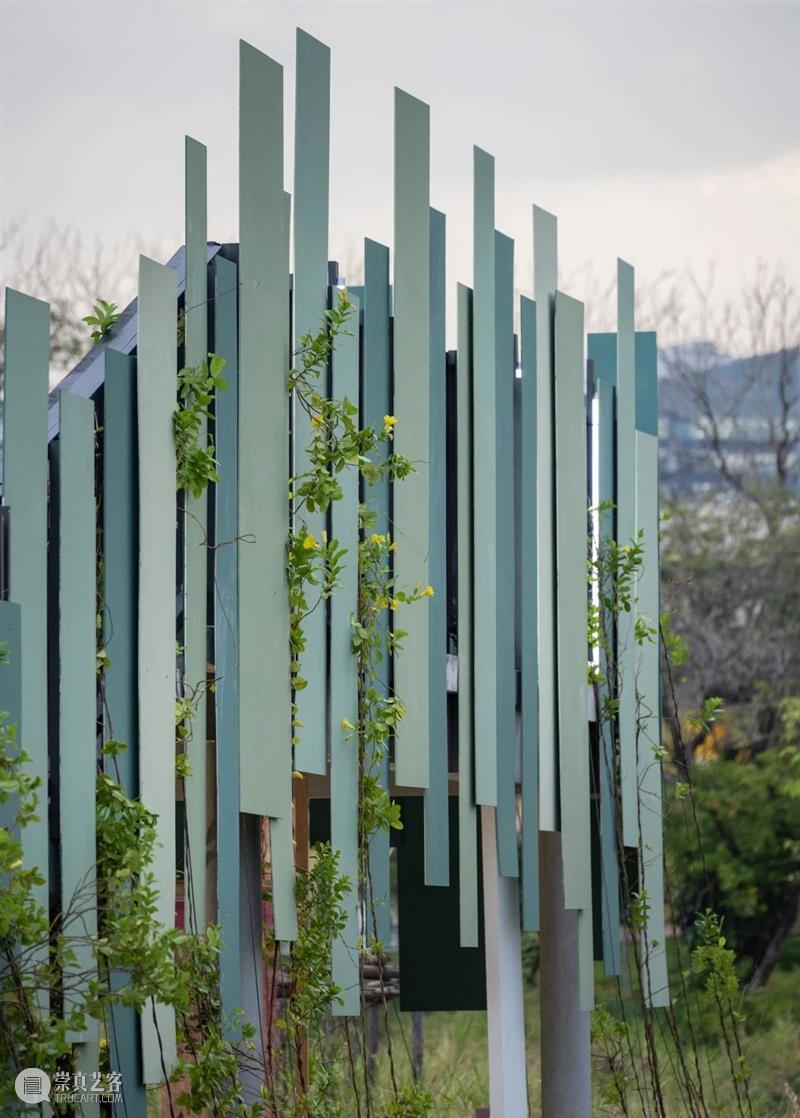 讲座预告丨洪人杰：From Ego to Eco 崇真艺客