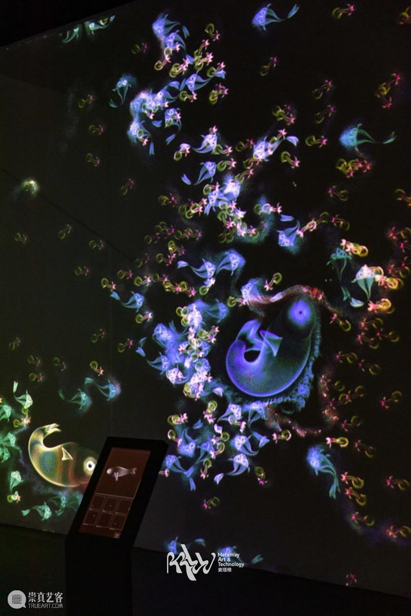 南京首个长江文化东方美学大展来啦！如梦似幻！ 崇真艺客