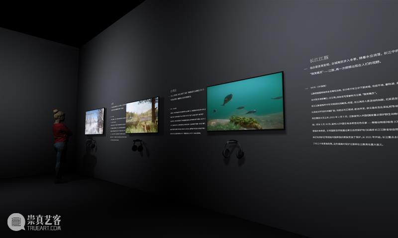 南京首个长江文化东方美学大展来啦！如梦似幻！ 崇真艺客