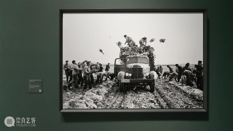 展览“刘香成 镜头 · 时代 · 人”闭幕倒计时6天｜透过他的镜头看看“曾经的我们” 崇真艺客