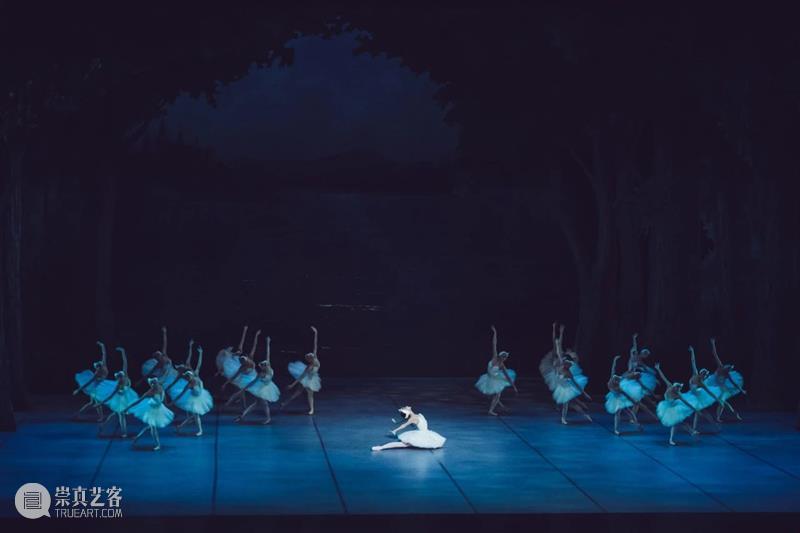 Available to purchase | Swan Lake 崇真艺客