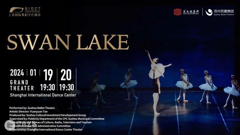 Available to purchase | Swan Lake 崇真艺客