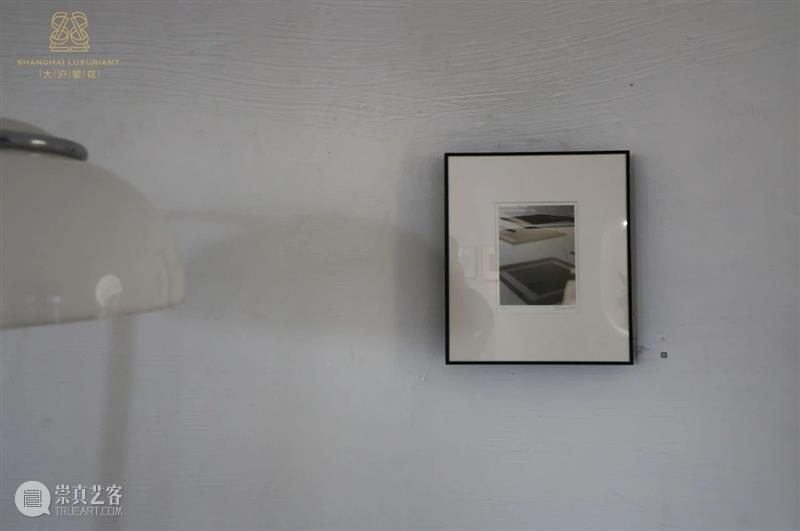 胡见君 | “侧锋”与“舒适区” —— 徐明松、邵仄炯双个展 崇真艺客
