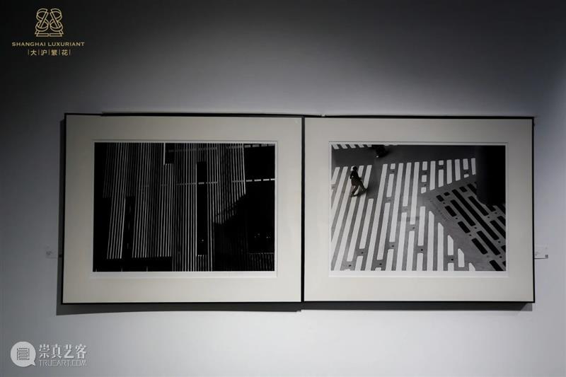 胡见君 | “侧锋”与“舒适区” —— 徐明松、邵仄炯双个展 崇真艺客