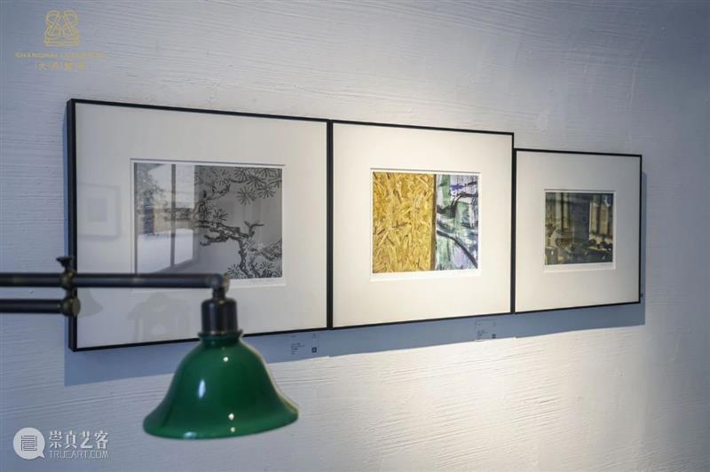 胡见君 | “侧锋”与“舒适区” —— 徐明松、邵仄炯双个展 崇真艺客