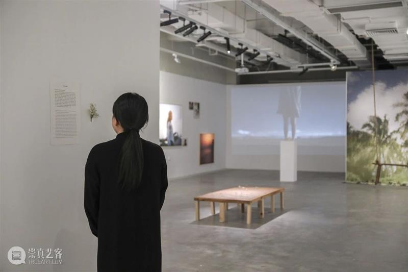 【访谈】逃离城市的年轻浪漫主义者——对话严佳林｜厦门 崇真艺客