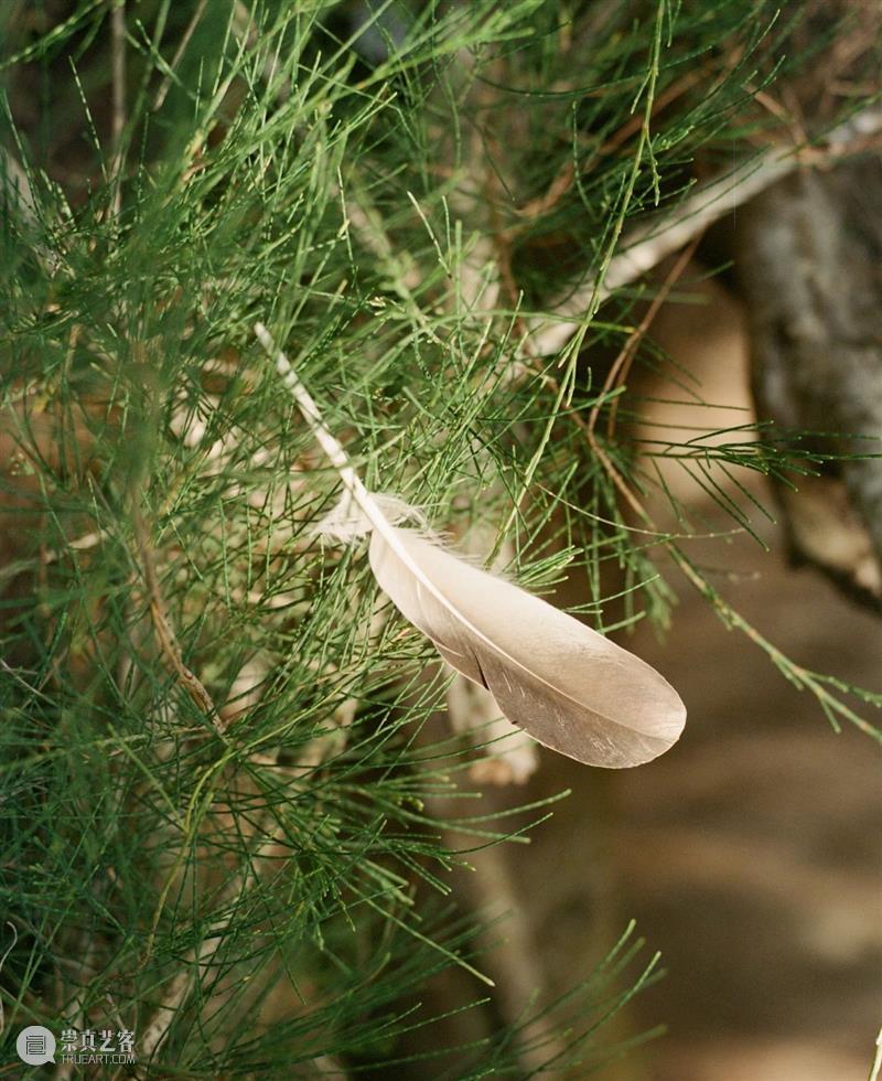 【访谈】逃离城市的年轻浪漫主义者——对话严佳林｜厦门 崇真艺客