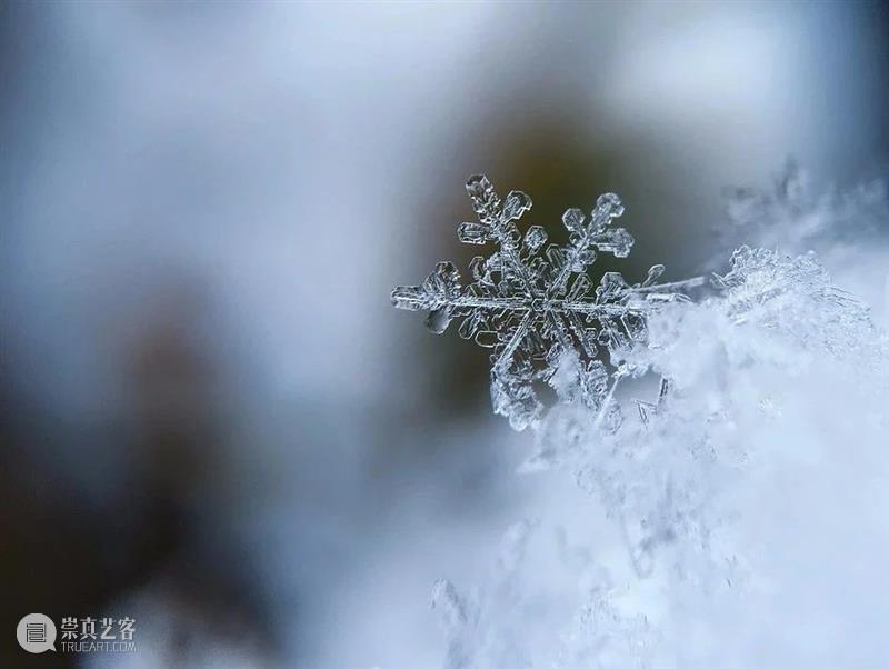 来，看雪！ 崇真艺客