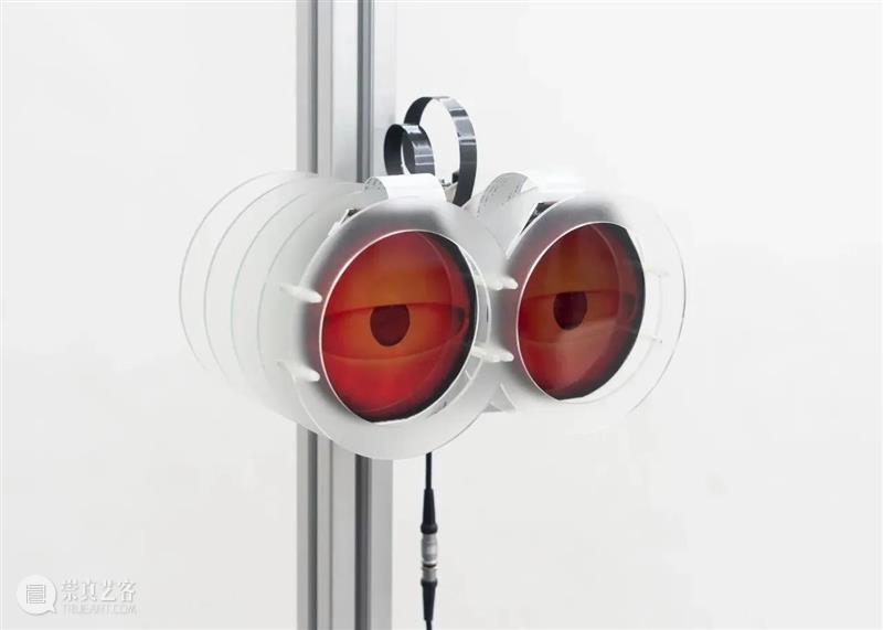 古务运动 x 拾萬空间 ｜12月30日，跳蛙来了 崇真艺客