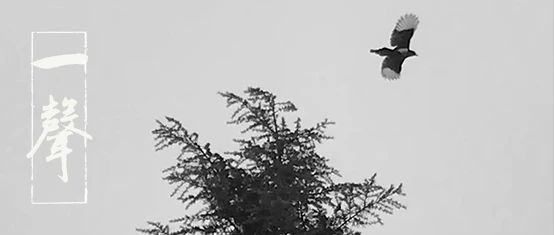 古务运动 x 拾萬空间 ｜12月30日，跳蛙来了 崇真艺客