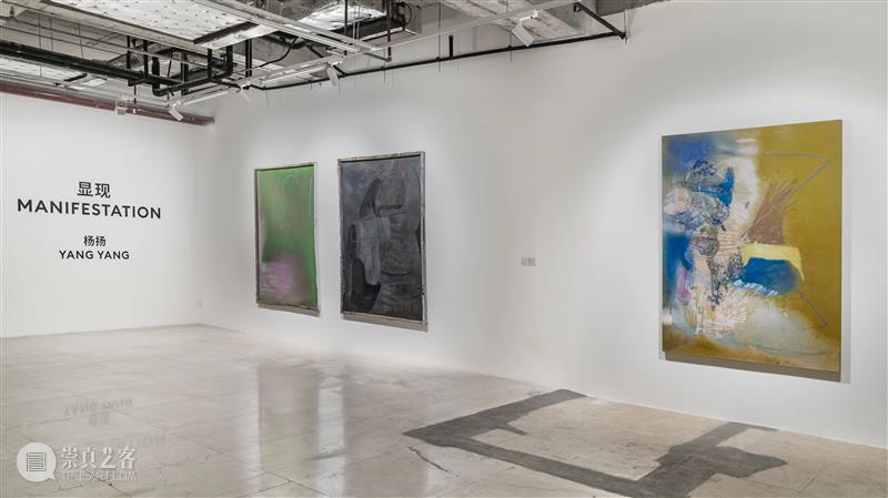 没顶画廊艺术家 | 杨扬 崇真艺客