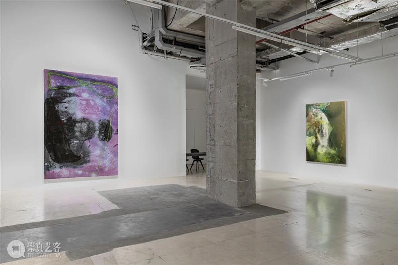 没顶画廊艺术家 | 杨扬 崇真艺客