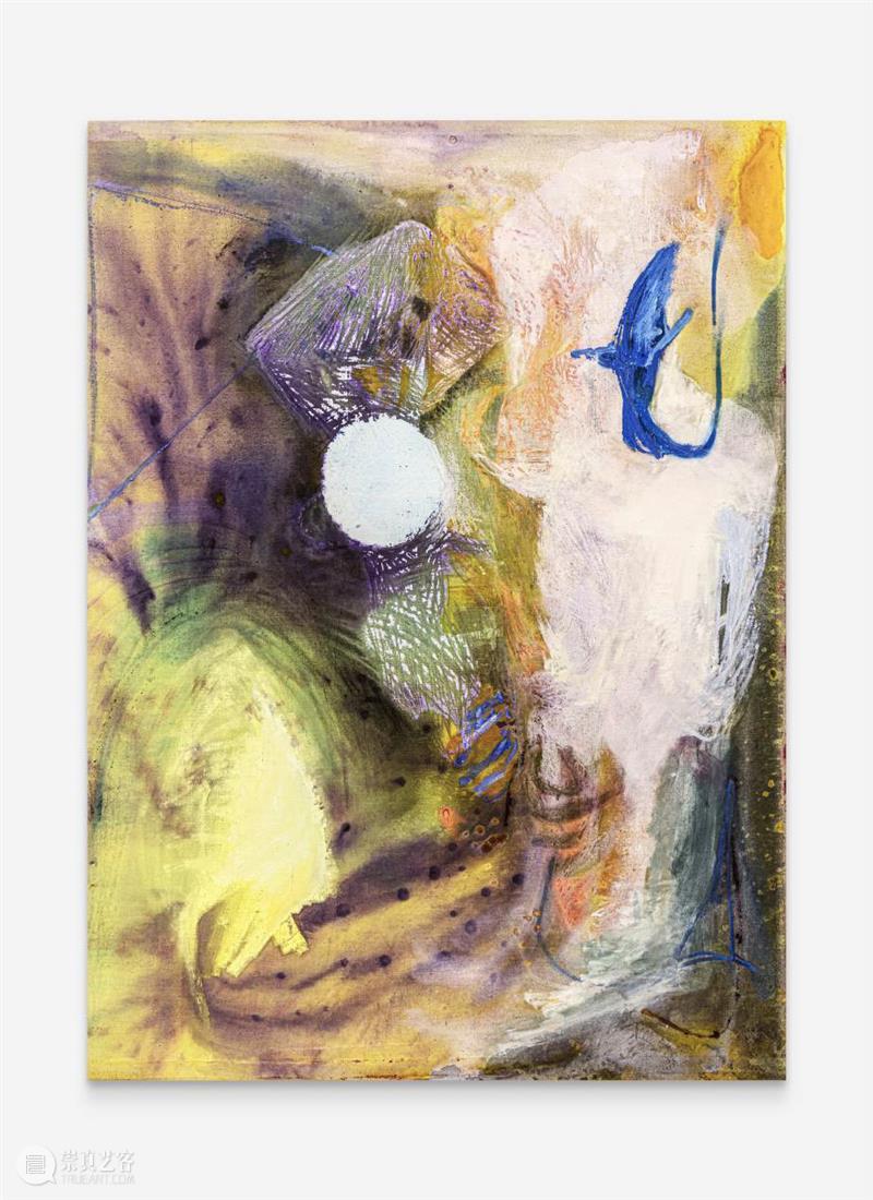 没顶画廊艺术家 | 杨扬 崇真艺客