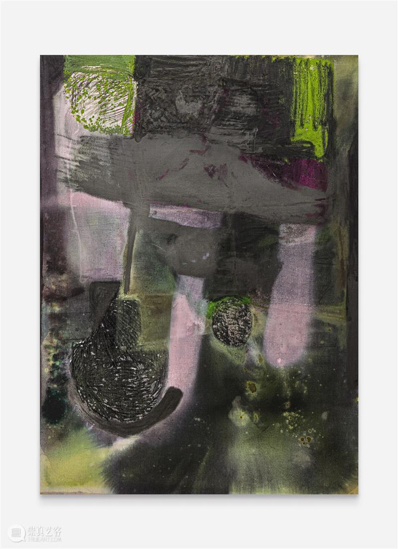 没顶画廊艺术家 | 杨扬 崇真艺客