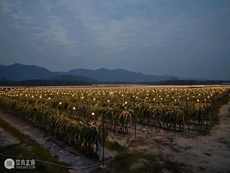 【展讯】尹建丰:当代中国的新地景|北京 崇真艺客