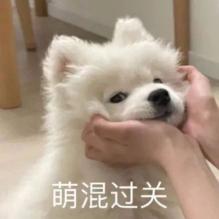 《熊出没·逆转时空》定档春节;本尼再度声演奇异博士 崇真艺客