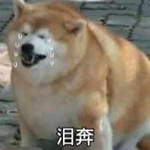 梁朝伟透露自己暂无退休计划;《名侦探柯南》新剧场版发布预告 崇真艺客