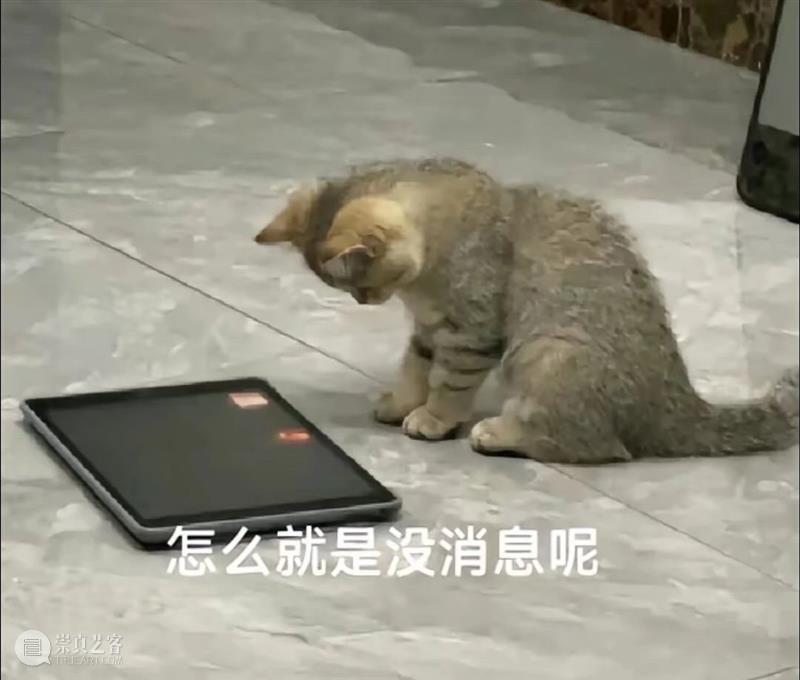 梁朝伟透露自己暂无退休计划;《名侦探柯南》新剧场版发布预告 崇真艺客