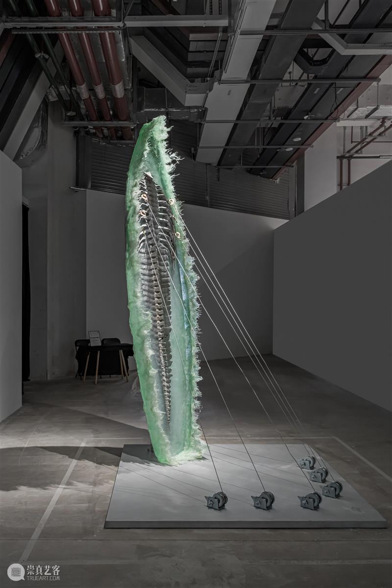 没顶画廊2023年度回顾 | 艺术家在机构的重要展览(上) 崇真艺客