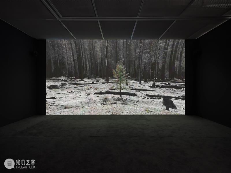 没顶画廊2023年度回顾 | 艺术家在机构的重要展览（上） 崇真艺客