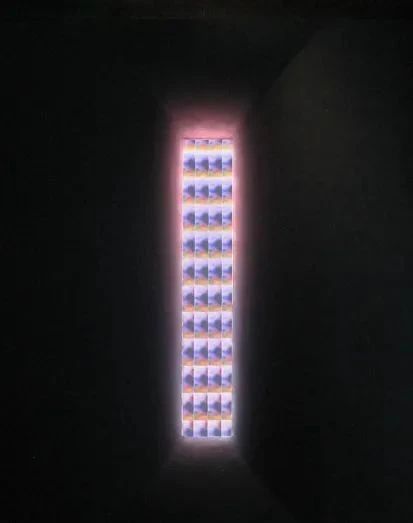 没顶画廊2023年度回顾 | 艺术家在机构的重要展览（上） 崇真艺客