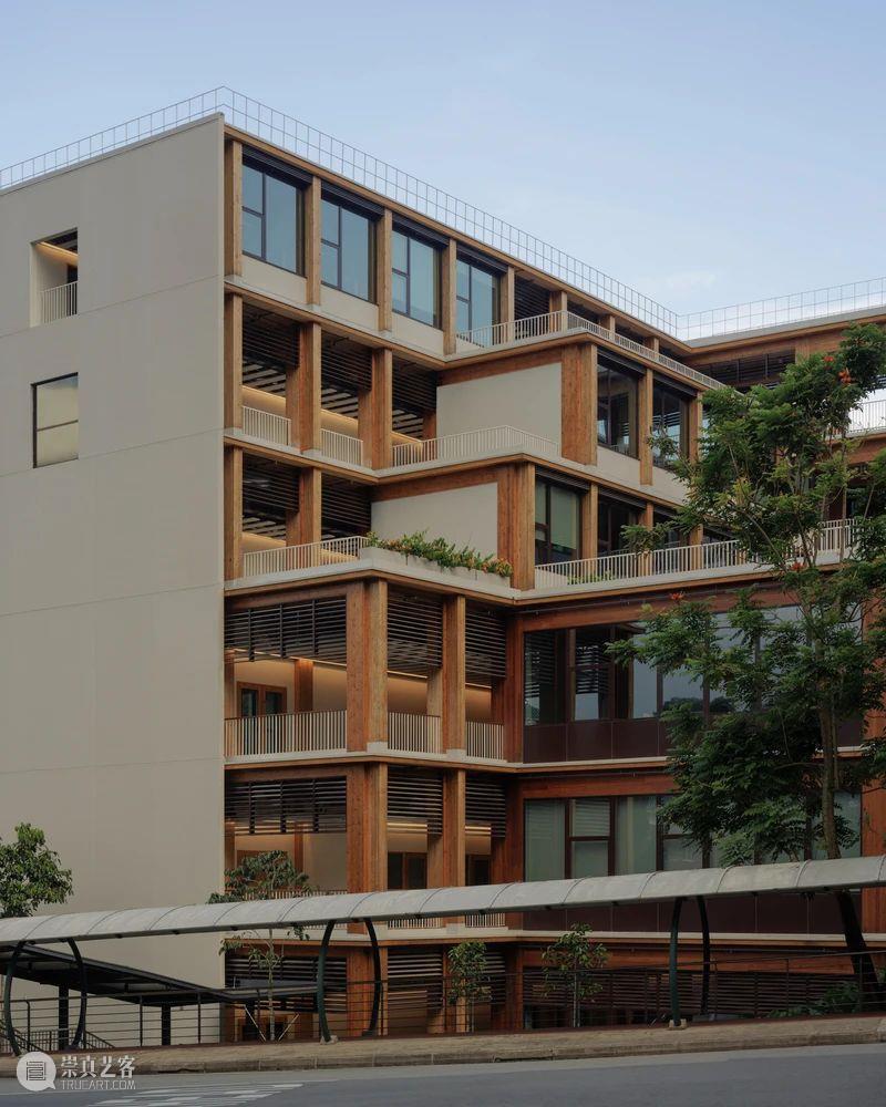 伊东丰雄+RSP新作：南洋理工大学 Gaia 崇真艺客