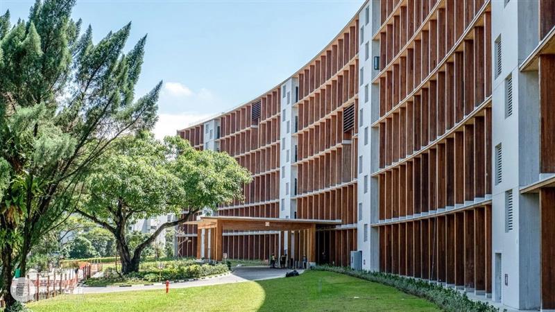 伊东丰雄+RSP新作：南洋理工大学 Gaia 崇真艺客