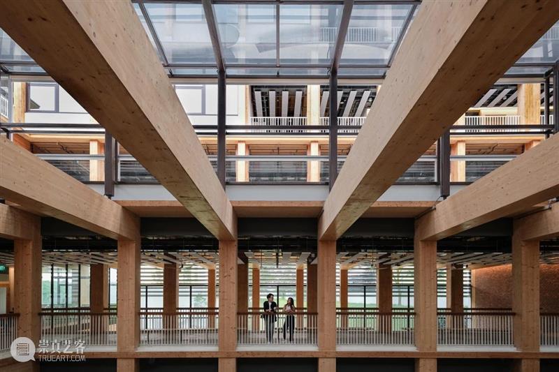 伊东丰雄+RSP新作：南洋理工大学 Gaia 崇真艺客