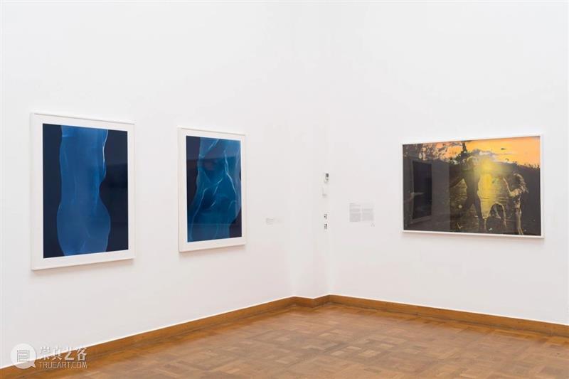 詹姆斯·威灵(James Welling)展览回顾|维也纳艺术论坛美术馆个展《变形记》 崇真艺客