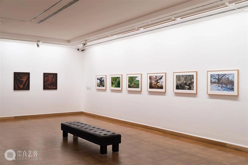 詹姆斯·威灵(James Welling)展览回顾|维也纳艺术论坛美术馆个展《变形记》 崇真艺客