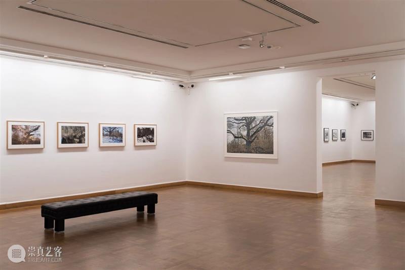 詹姆斯·威灵(James Welling)展览回顾|维也纳艺术论坛美术馆个展《变形记》 崇真艺客