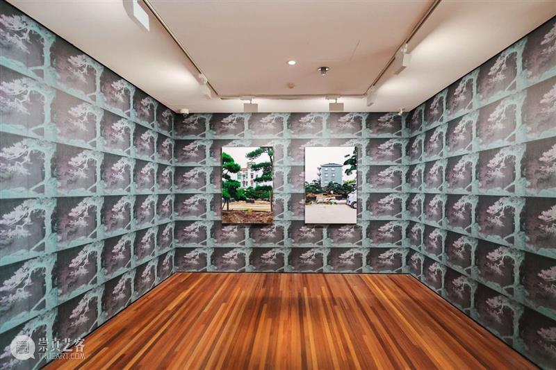 展览现场｜李青（Li Qing）「POSE 美」@ 松美术馆 崇真艺客