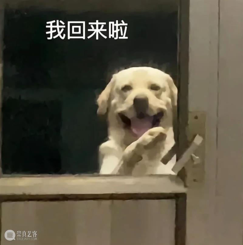 《怪奇物语》最终季开拍；《被我弄丢的你》发布新预告 崇真艺客