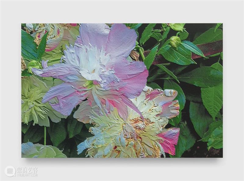 明天开幕｜詹姆斯·威灵（James Welling）纽约个展《思想之物》 崇真艺客