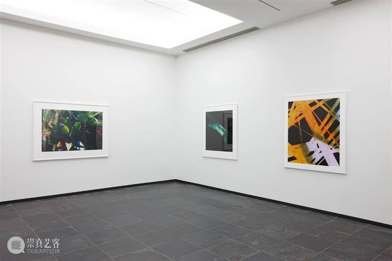 明天开幕｜詹姆斯·威灵（James Welling）纽约个展《思想之物》 崇真艺客